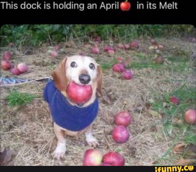 This dock is holding an April in its Melt - iFunny