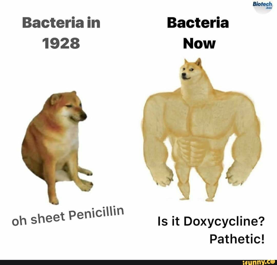 Bacteria in Bacteria
1928 Now
heet Penicillin
ohs Pen Is it Doxycycline?
Pathetic!