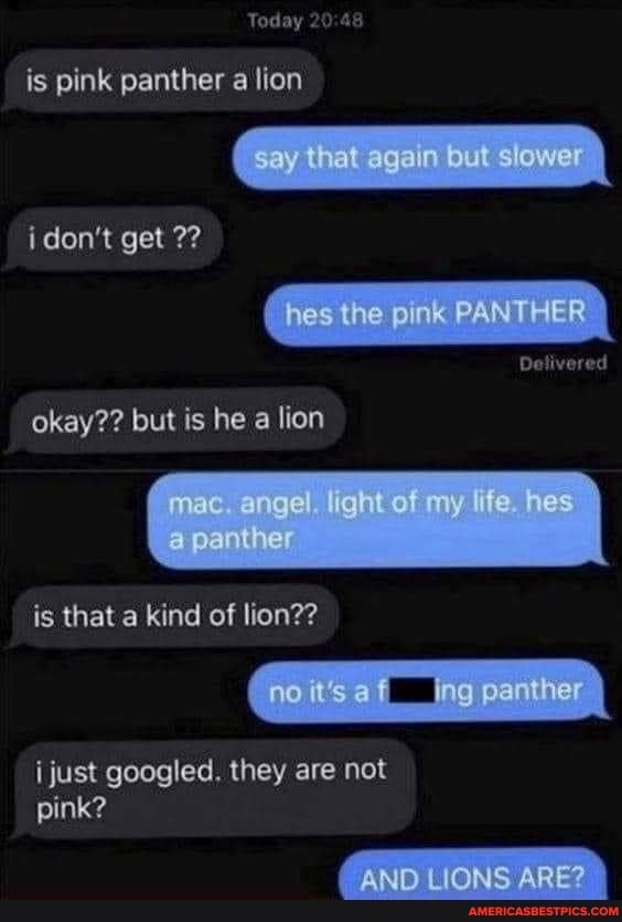 Today
is pink panther a lion
say that ugar Sut slower
i don't get 7?
hes the pink PANTHER
Detivered
okay?? but is he lion
Gage' ite
is that a kind of lion??
no ts panther
just googled. they are not pink?
ARED