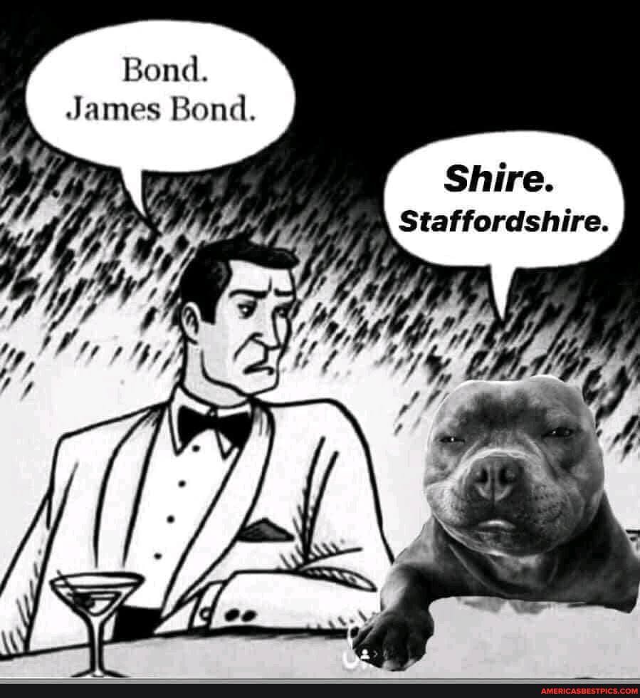 James Bomel
Shire.
Staffordshire.
