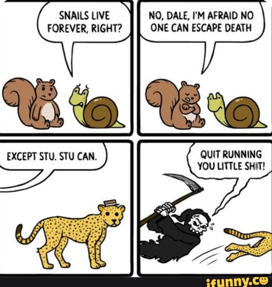 Good Job Stu Forever Right One Can Escape Death Quit Running Vou Little Shit Ifunny