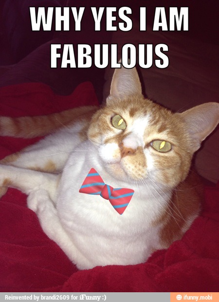 WHY VES 1 AM
FABULOUS