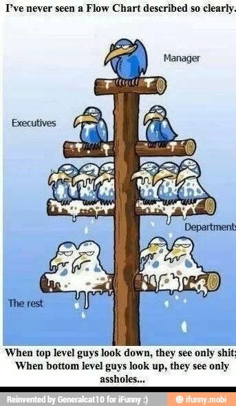 Pve never seen a Flow Chart described so clearly.
'When top level guys look down, they see only shit
'When bottom level guys look up, they see only