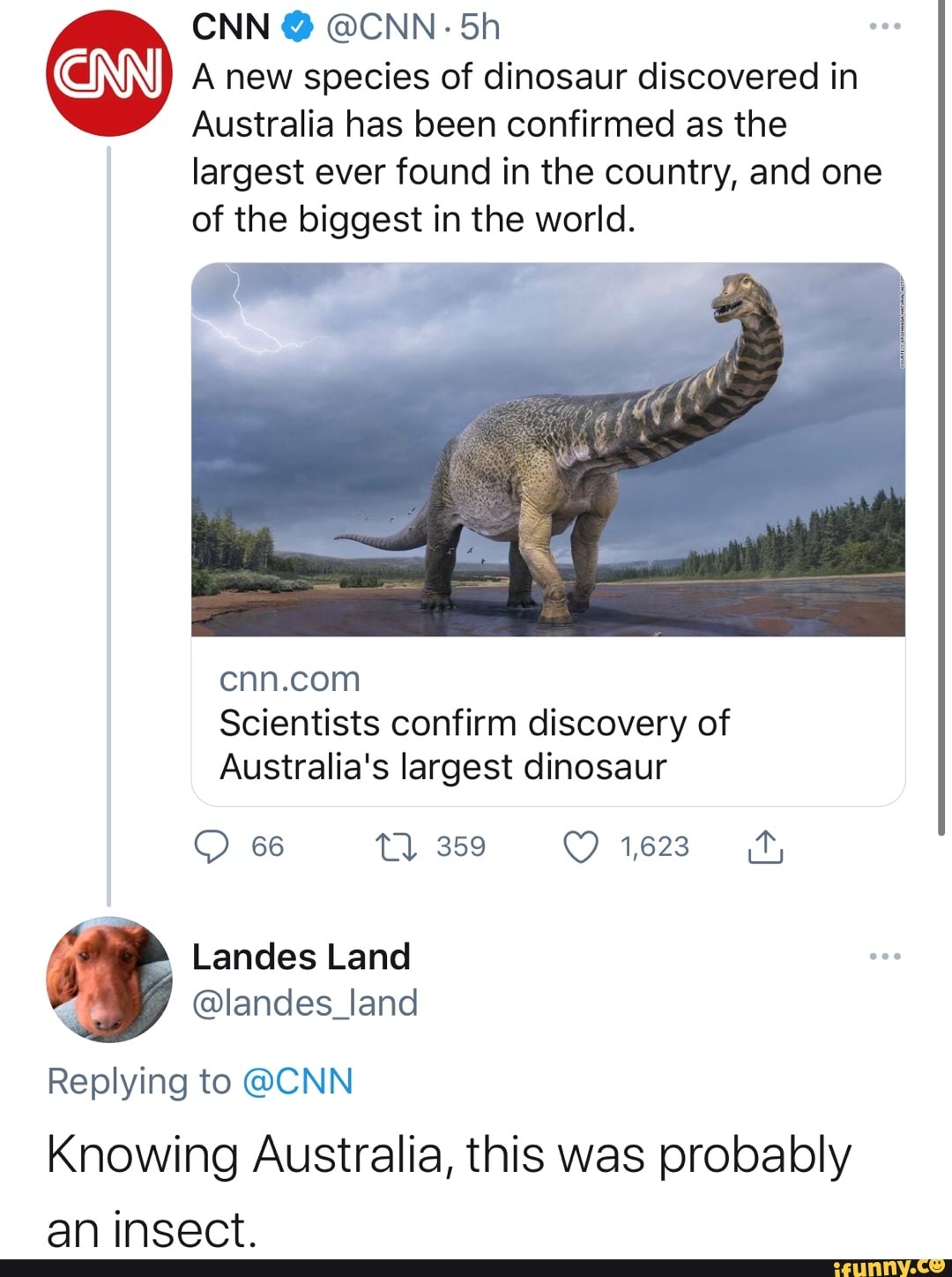 CNN @ @CNN- Sh wee
A new species of dinosaur discovered in
Australia has been confirmed as the largest ever found in the country, and one of the biggest in the world.
Scientists confirm discovery of
Australia's largest dinosaur
66 Tl 359 1623
Landes Land
@landes_land
Replying to @CNN
Knowing Australia, this was probably an insect.
