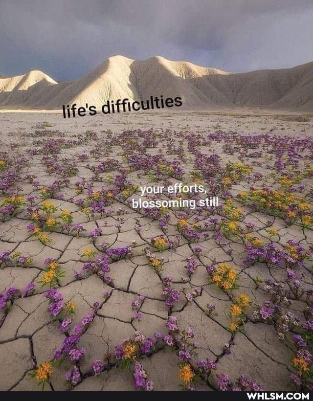 your effer blossoming suill