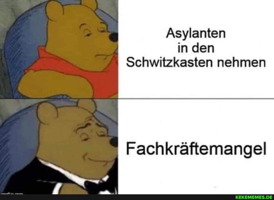 Asylanten in den
Schwitzkasten nehmen
Fachkräftemangel