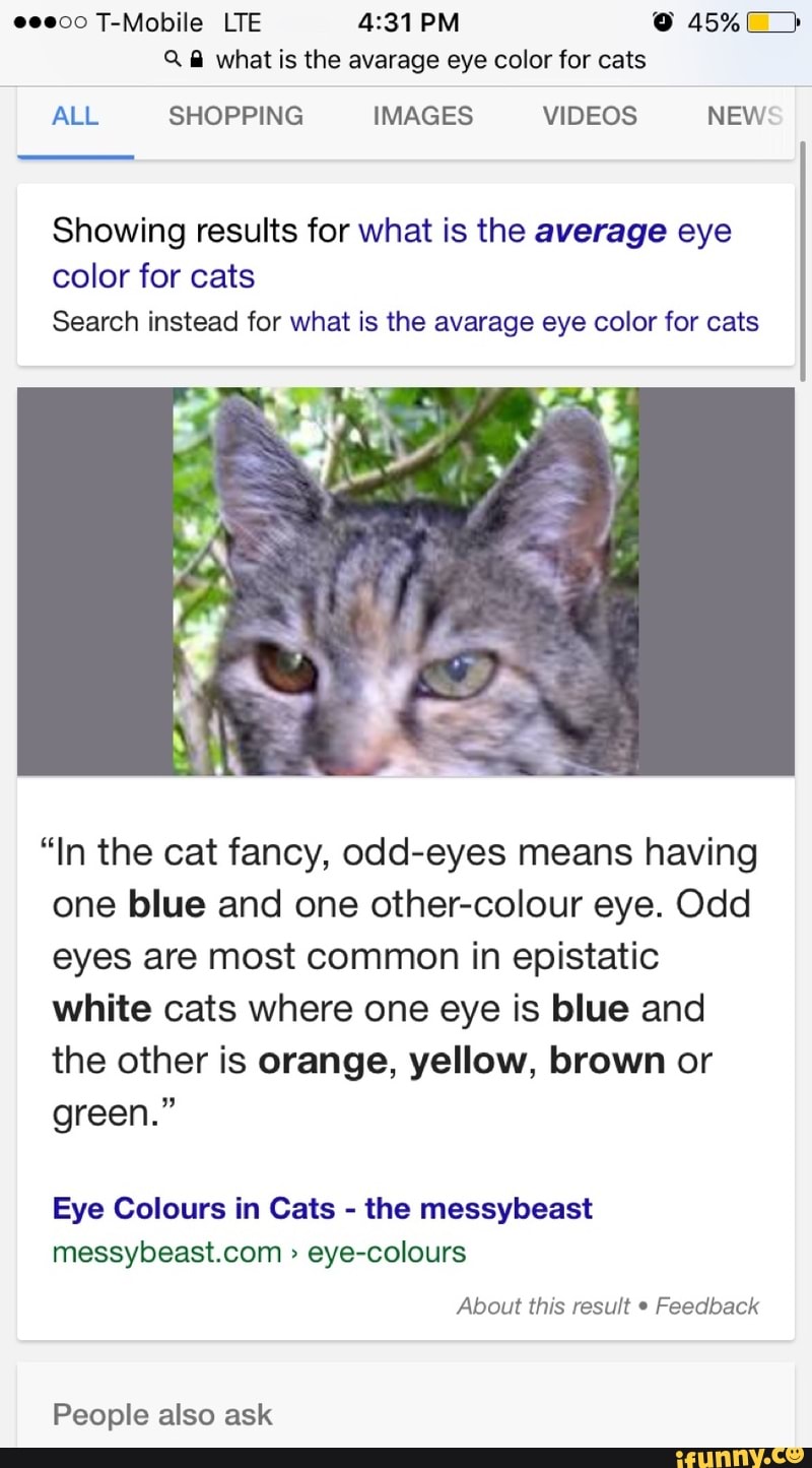 What Is The Most Common Cat Eye Color