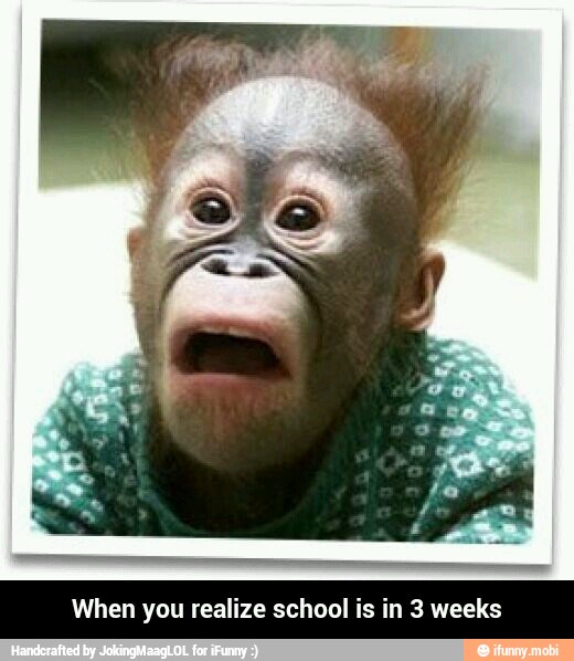 When you realize school 3 weeks - When you realize school is in 3 weeks