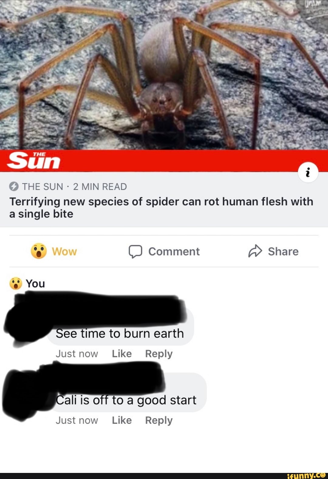 O THE SUN 2 MIN READ Terrifying new species of spider can rot human ...