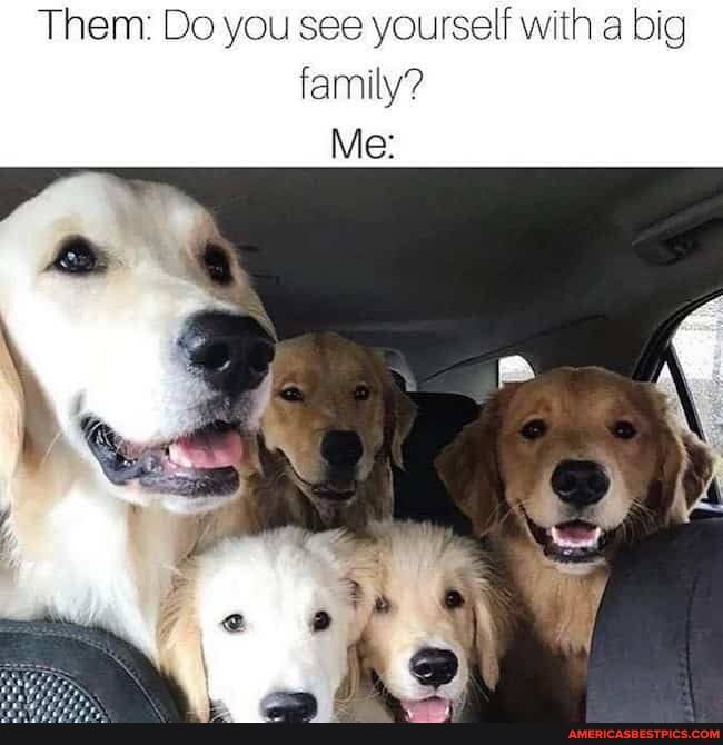 Them: Do you see yourself with a big family?
Me: