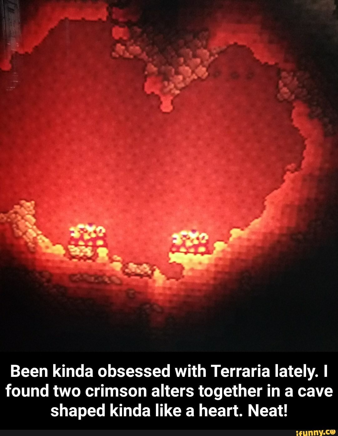 Golden hearts in terraria фото 80