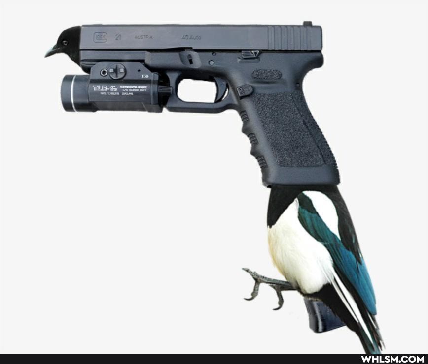 birds, guns, nature_you_crazy