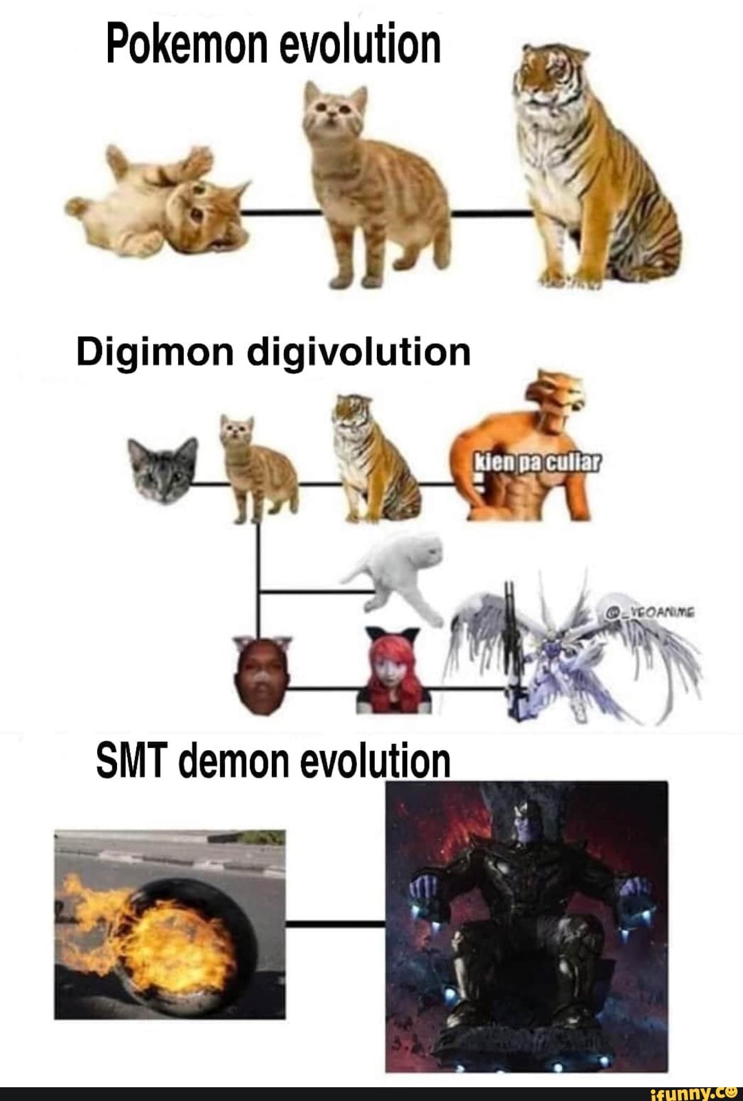 Pokemon evolution Digimon digivolution SMT demon evolution - )