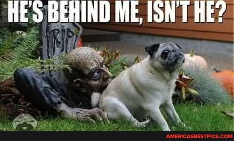 HES BEHIND ME, ISN'T HE?
