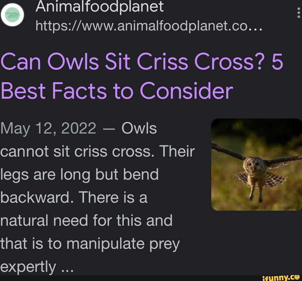 O Can Owls Sit Criss Cross? 5 Best Facts to Consider