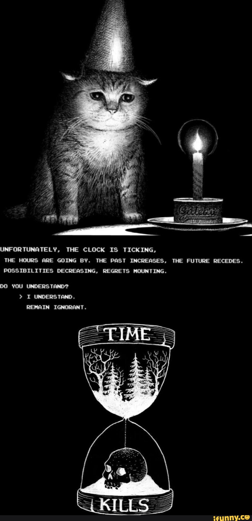 Ignorant memes. Best Collection of funny Ignorant pictures on iFunny