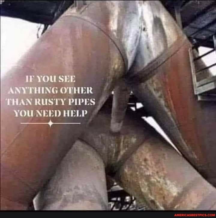 YOU NY WING OTHER THAN RUSTY PIPES
YOU NEED HELP