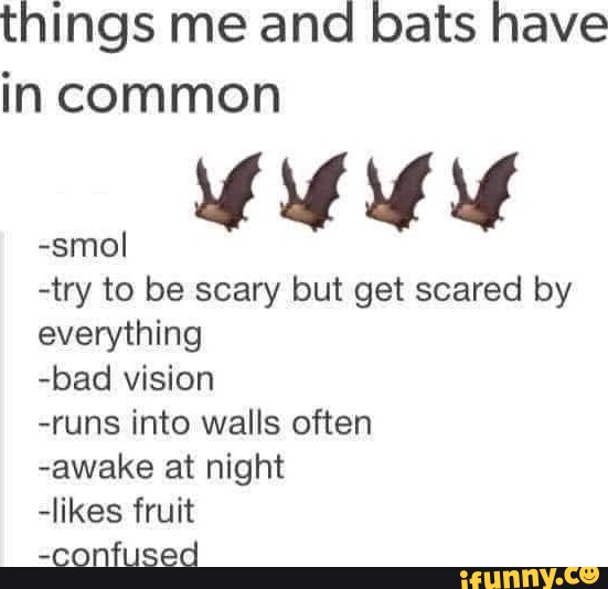 Things me and bats have in common try to be scary but get scared by
