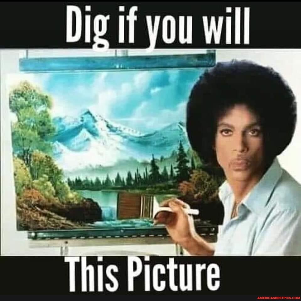 This Picture
Digif you will
