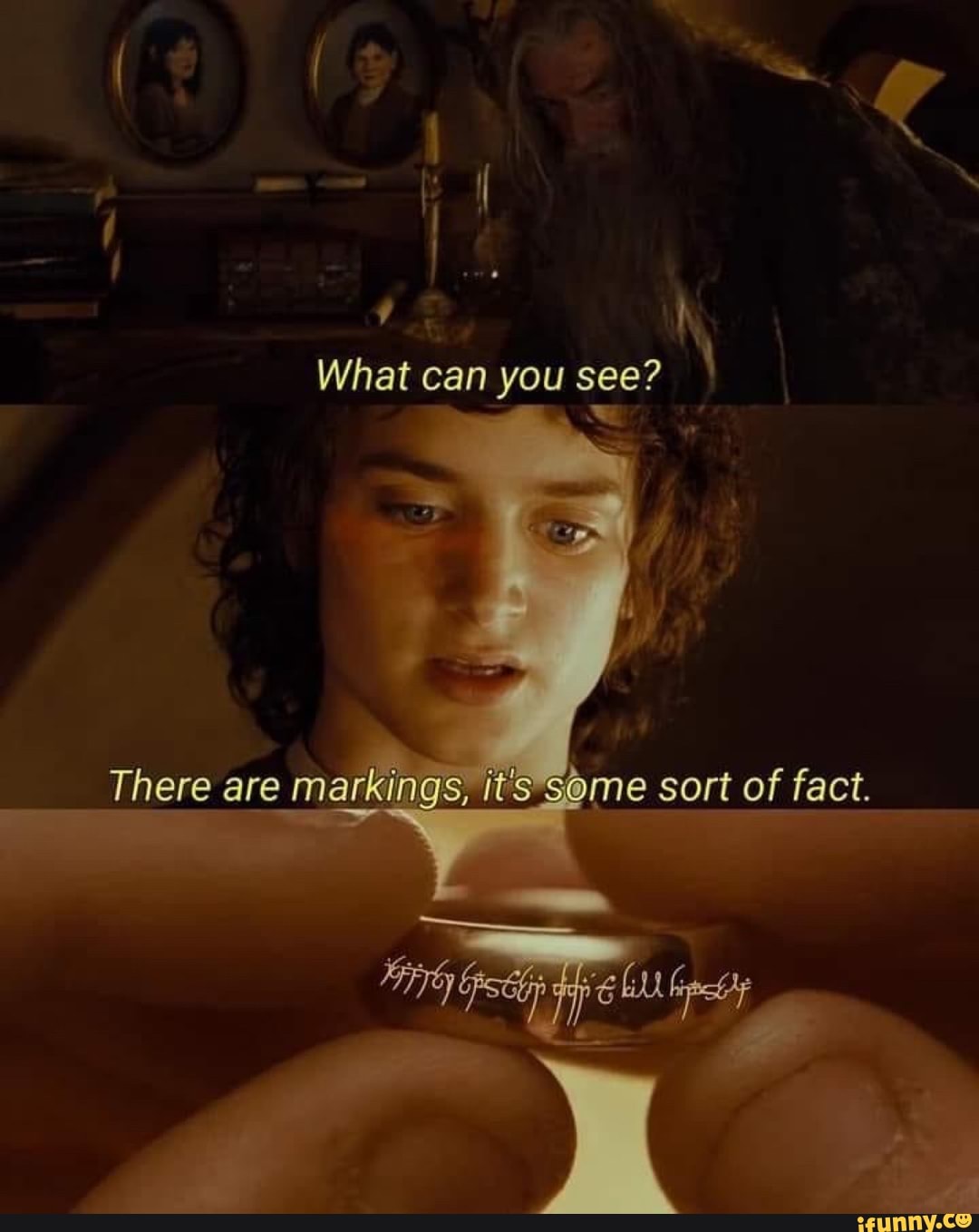 What Can You See There Are Markings Sort Of Fact IFunny
