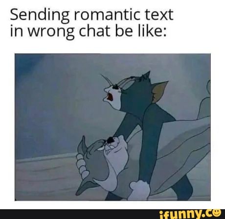 Sending romantic text
in wrong chat be like: