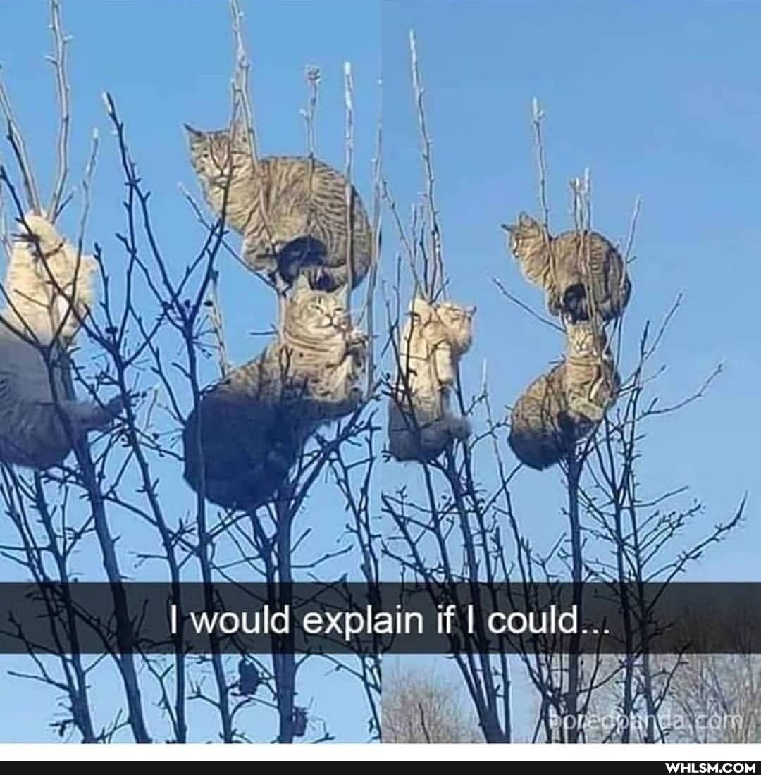 Lg
would explain if I could...
Na
he