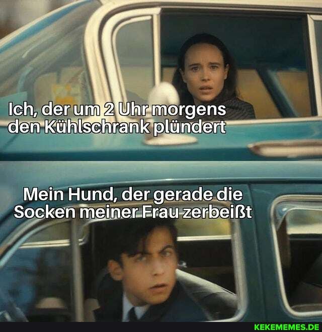 Ich, der uni 2 Uhr morgens den Kühlschrank plündert
Mein Hund, der gerade die
Socken meiner Frau zerbeißt