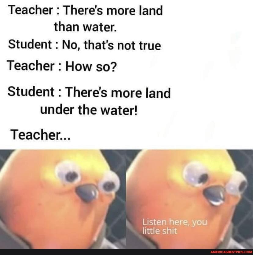 Teacher : There's more land than water.
Student : No, that's not true
Teacher : How so?
Student : There's more land under the water!
Teacher...
Listen here, you little shit