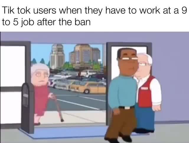 Trump tiktok ban image