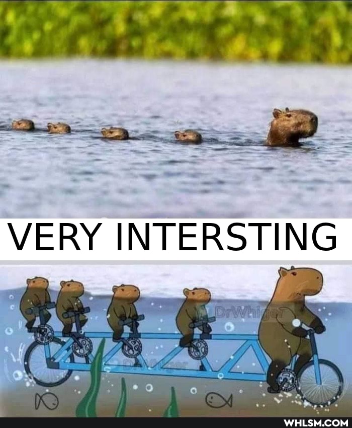 VERY INTERSTING