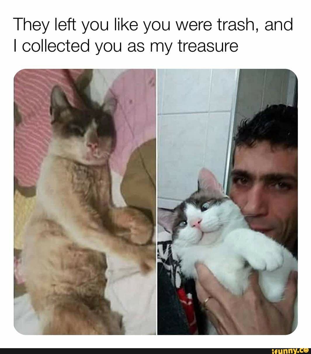 They left you like you were trash, and
I collected you as my treasure