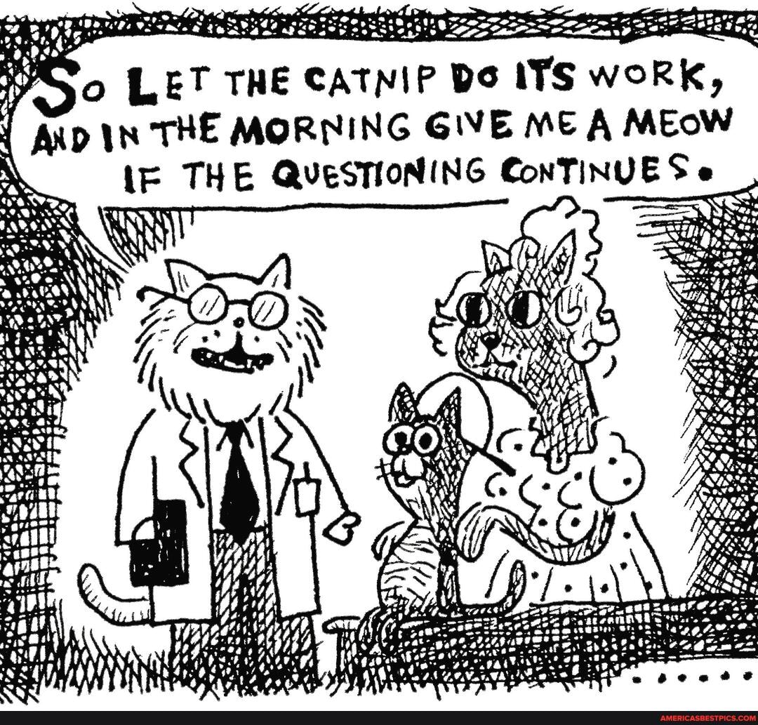 So LET THE CATNIP DS ITS ITS WORK,
So
Mg
AW
AXD THE MORNING GIVE ME A MEOW THE QUESTIONING ConTINUES
Ss
HH my
Ni
SSS
4,