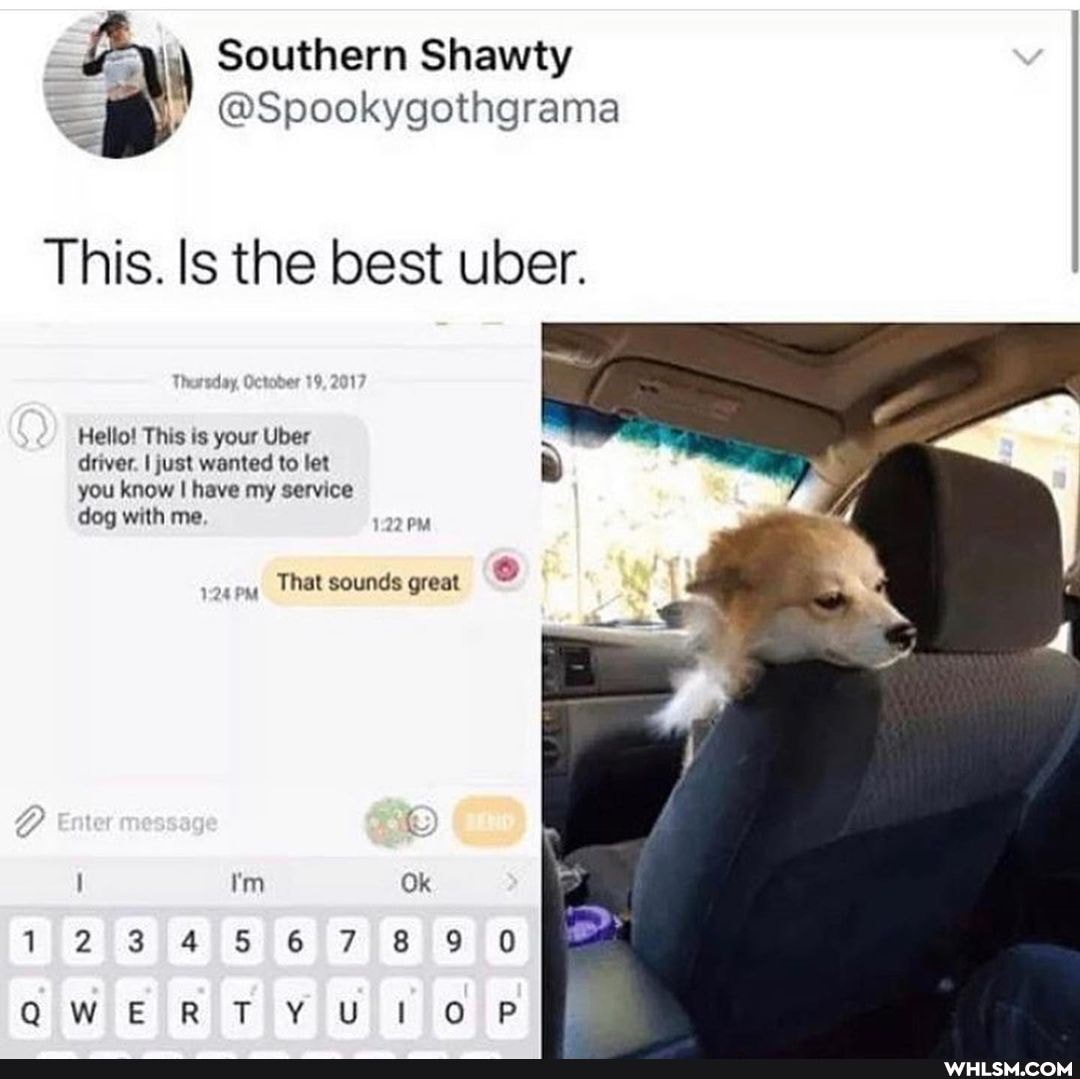 i\ Southern Shawty
@Spookygothgrama
This. Is the best uber.
Thessday, October 19,2017
Hello! This is your Uber
driver. I just wanted to let
you know I have my service
dog with me. PM
24 PM
That sounds great
tm Ok
123 67
OP