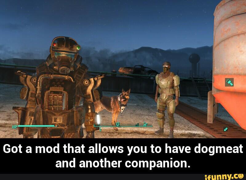 Got a mod that allows you to have dogmeat
and another companion. - Got a mod that allows you to have dogmeat and another companion.