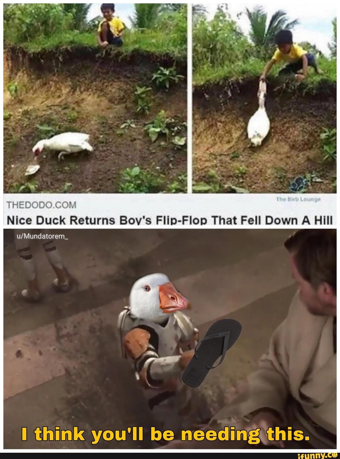 THEDODO.COM
Nice Duck Returns Boy's Flip-Flop That Fell Down A Hill
u/Mundatorem_
I think you'll be needingíthis.