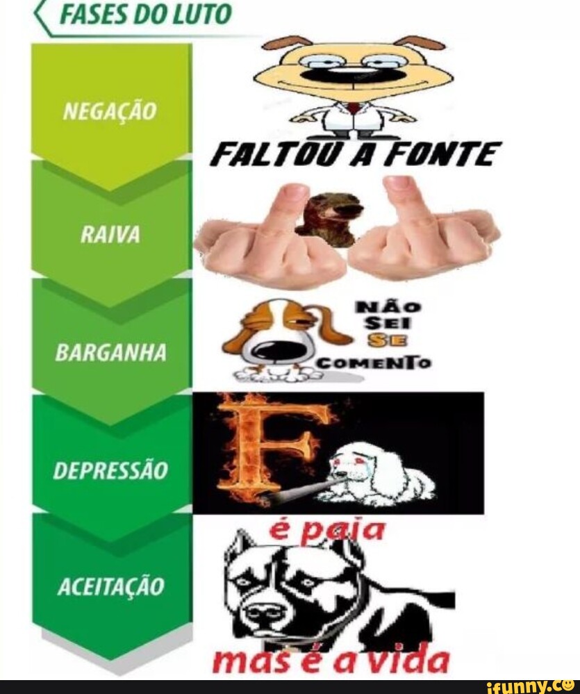 FASES DO LUTO FALTOU FONTE Rs não SEI RAIVA BARGANHA te DEPRESSÃO ACEITAÇÃO iFunny Brazil