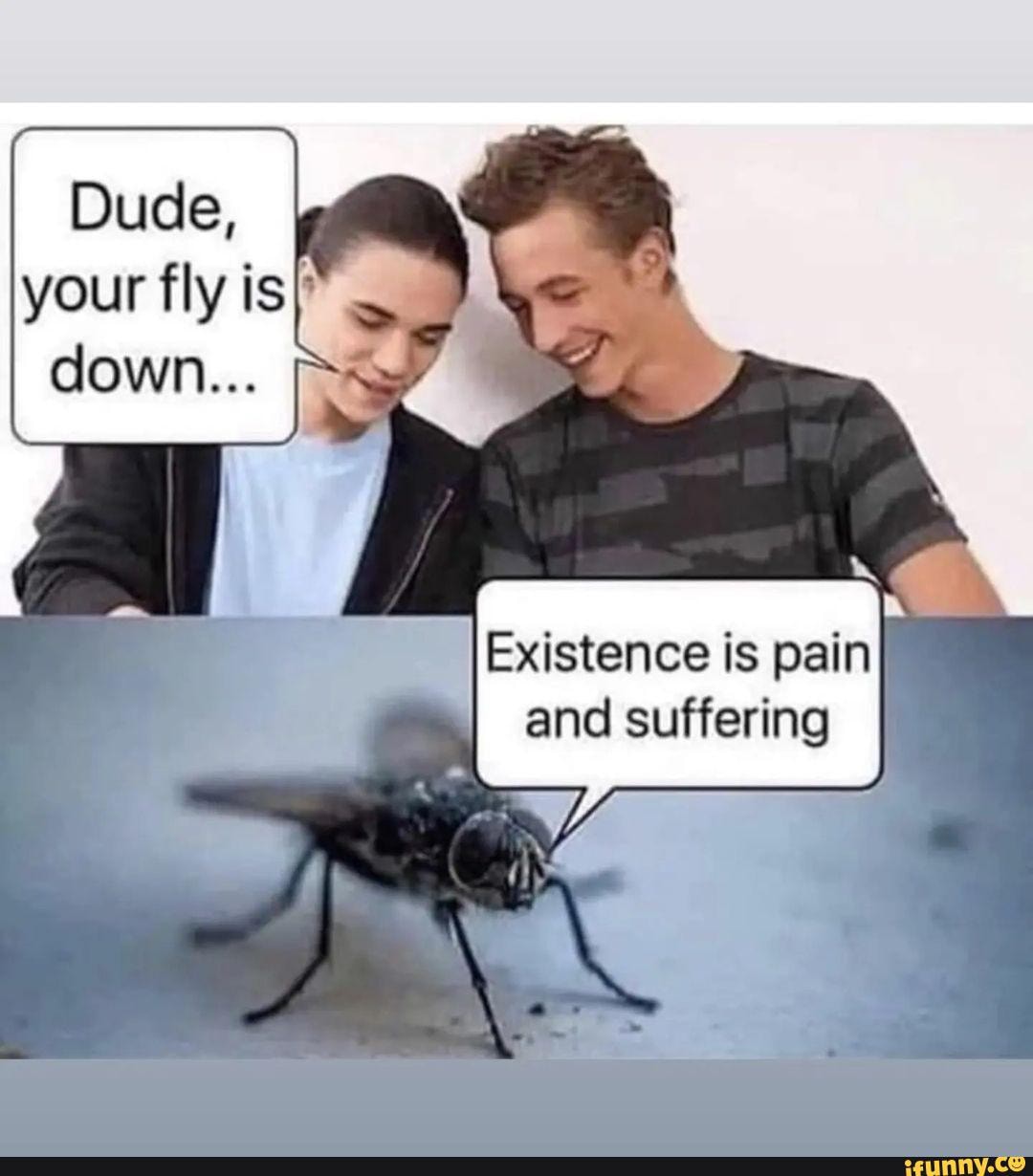 Your fly is\ Gown... Existence is pain and suffering - iFunny