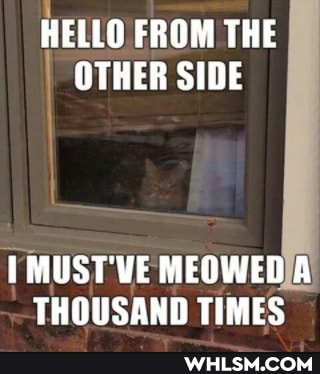 II
HELLO FROM THE I OTHER SIDE
MUST'VE MEOWED A THOUSAND TIMES