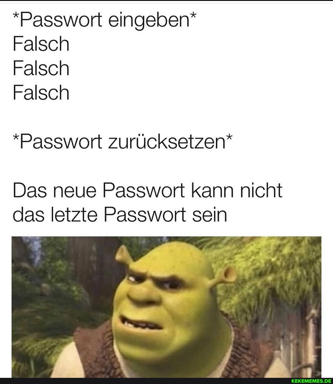 *Passwort eingeben*
Falsch
Falsch
Falsch
*Passwort zurücksetzen*
Das neue Passwort kann nicht das letzte Passwort sein