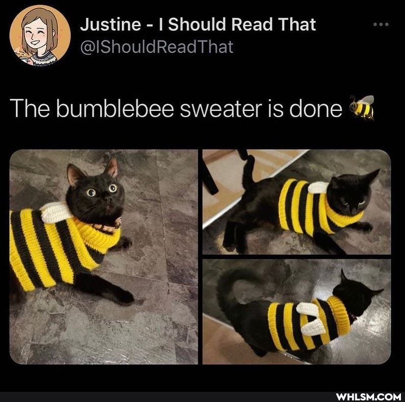 Justine Should Read That
@IShouldReadThat
The bumblebee sweater is done