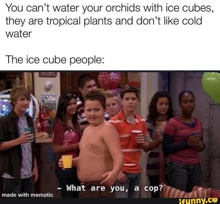 What is this!? A dump for plants? (94) You can't water your orchids