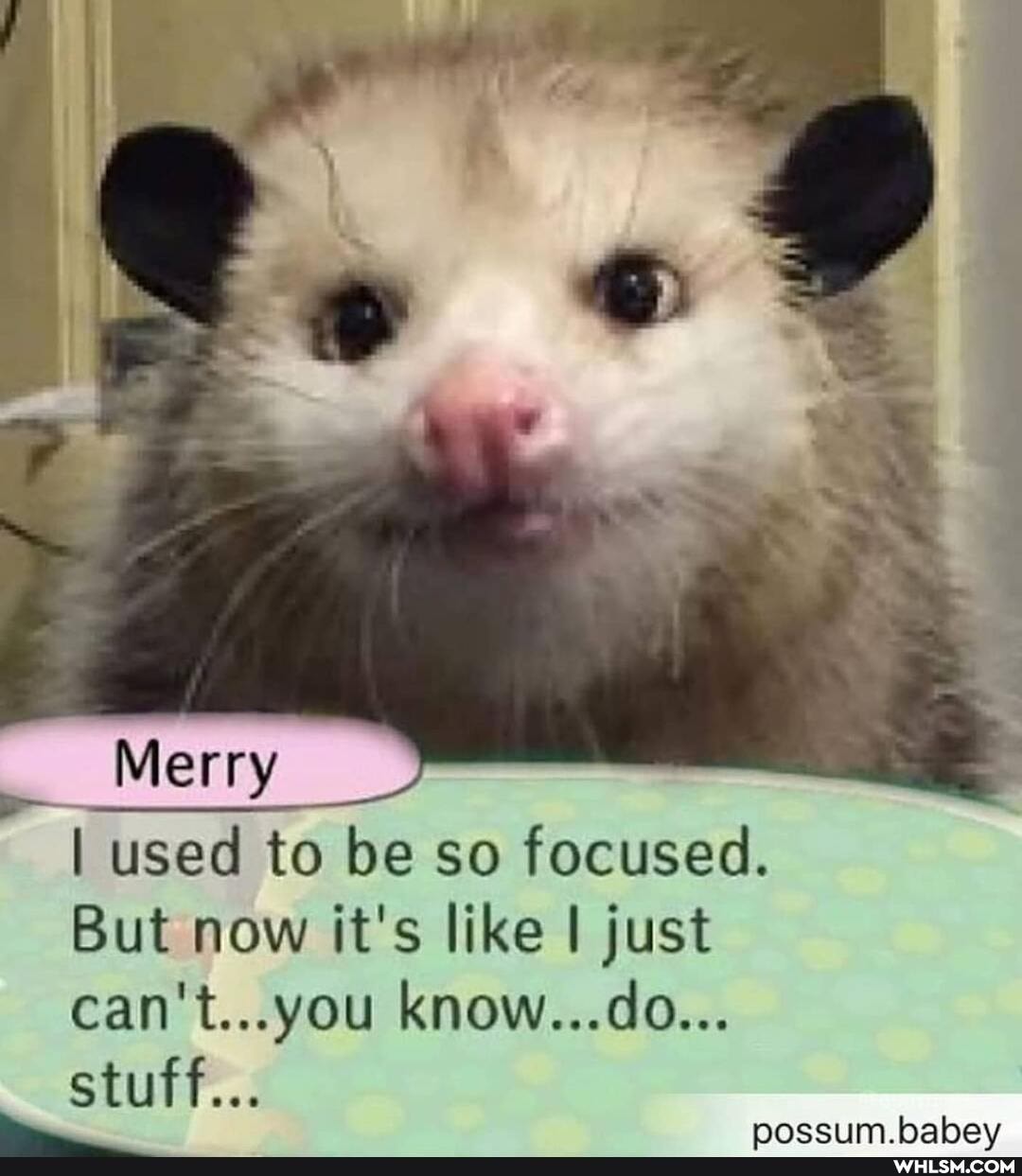 Merry
I used to be so focused.
But now it's like I just
CAN... YOU KNOW
hahay
stuff...