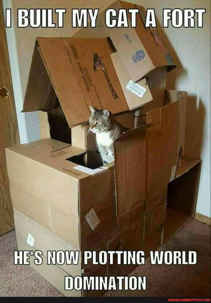 BUILT CAT FORT
HE'S NOW) PLOTTING WORLD
DOMINATION