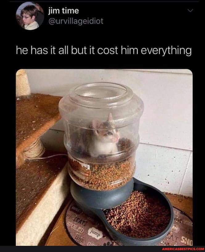 jim time
@urvillageicdict
he has it all but it cost him everything