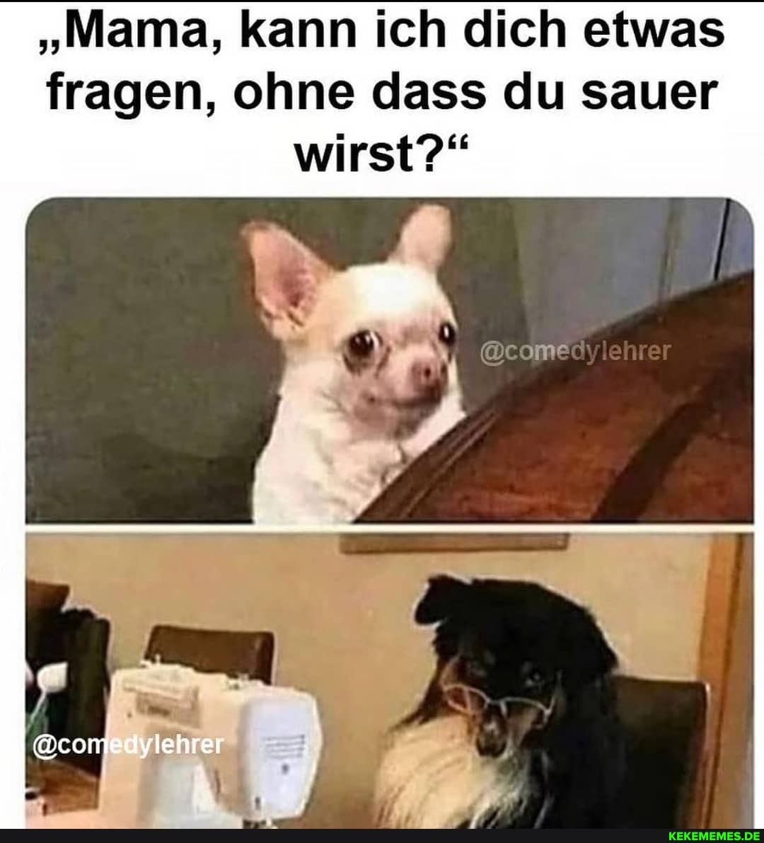 "Mama, kann ich dich etwas fragen, ohne dass du sauer wirst?"
lehrer
lehrer