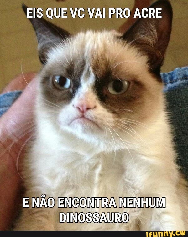 EIS QUE VE VAI PRO ACRE