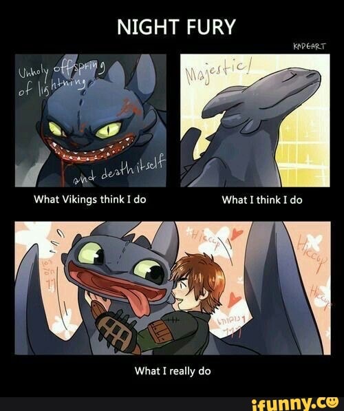 comotreinaroseudragão, toothless_nightfury