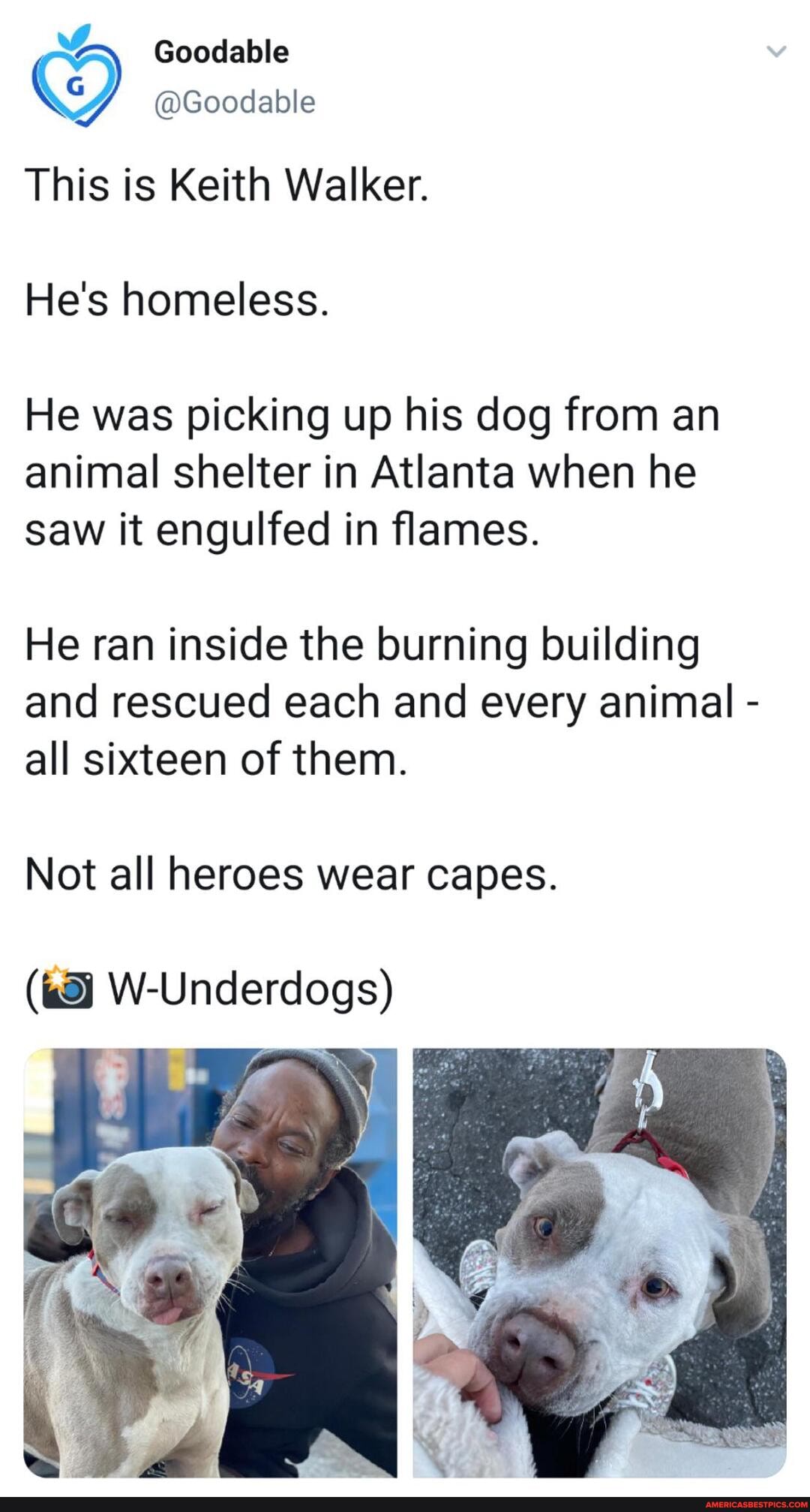 Goodable
@Goodable
This is Keith Walker.
He's homeless.
He was picking up his dog from an animal shelter in Atlanta when he saw it engulfed in flames.
He ran inside the burning building and rescued each and every animal - all sixteen of them.
Not all heroes wear capes.
W-Underdogs)