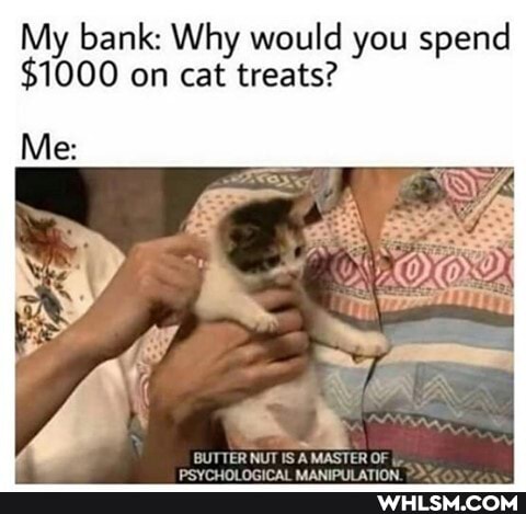 My bank: Why would you spend
$1000 on cat treats?
Me:
BUTTER NUT IS A MASTER O}