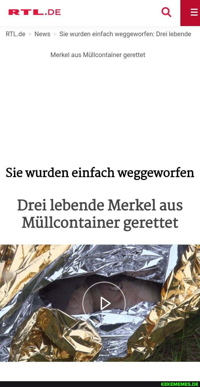 RTL.DE
RTL.de News Sie wurden einfach weggeworfen: Drei lebende
Merkel aus Müllcontainer gerettet
Sie wurden einfach weggeworfen
Drei lebende Merkel aus
Müllcontainer gerettet